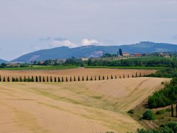 Toscana2011-165